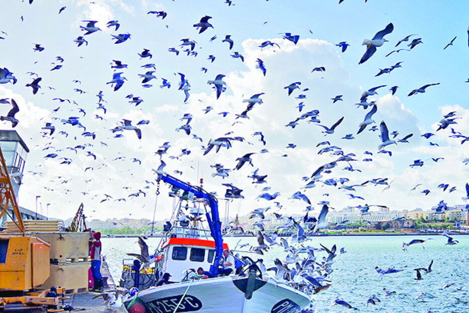 Capturadas 2 mil toneladas 