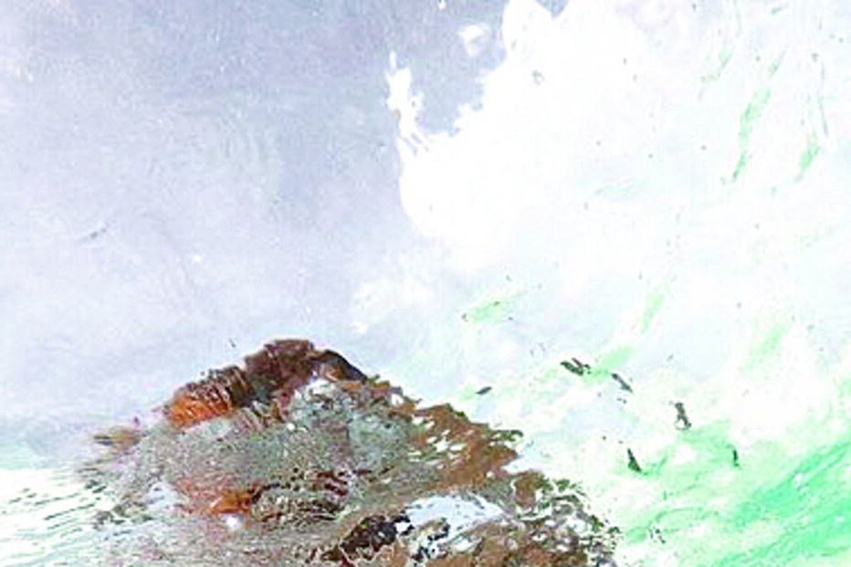 Magali Aravena, mulher de Salvio