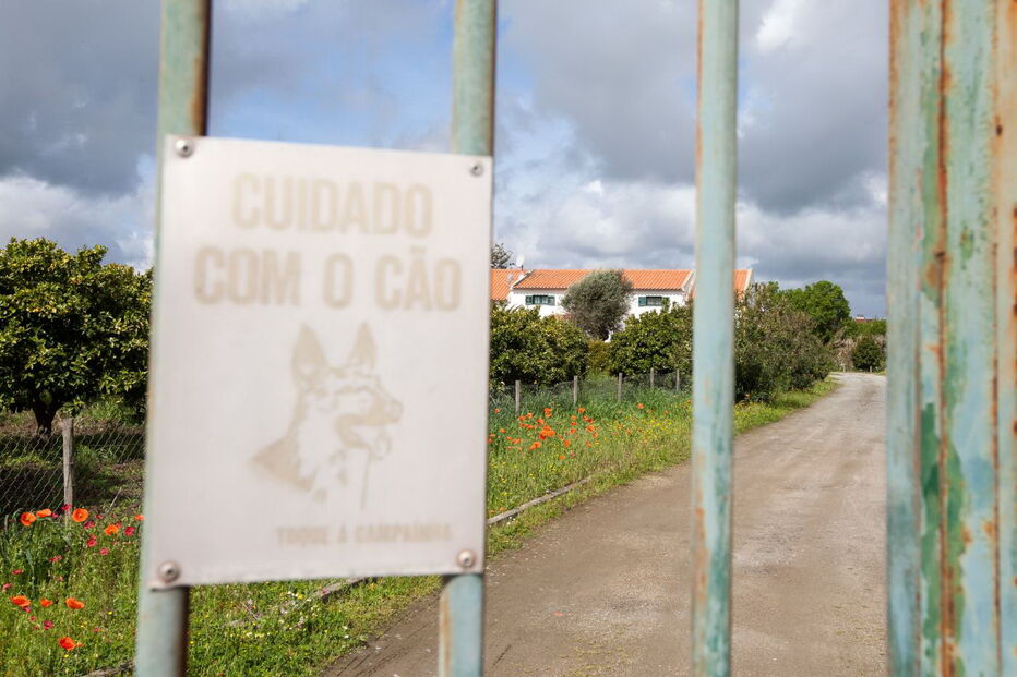 Ataques de cães aumentaram em 2018