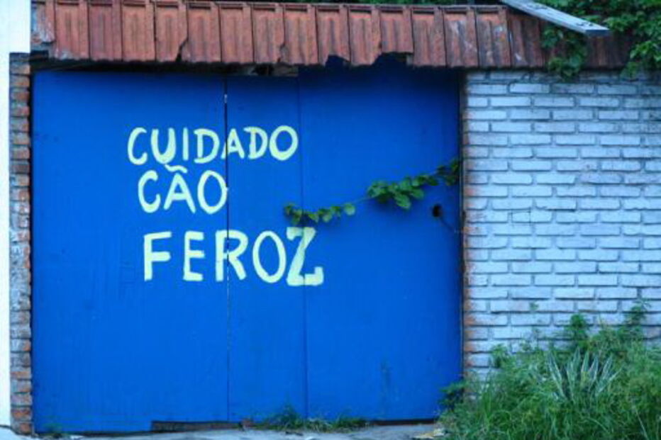 Ataques de cães aumentaram em 2018