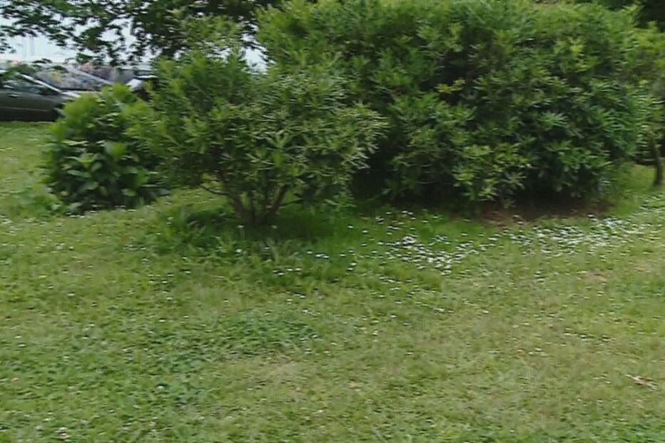 Jovem encontrada seminua junto ao Queimódromo do Porto. Polícia suspeita de violação