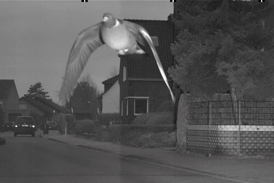 2019-05-09_13_48_02 58818460_2168094979893233_4183163954345803776_o.jpg