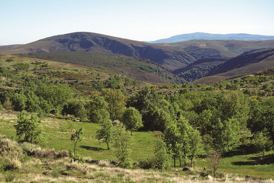 Parque Natural de Montesinho