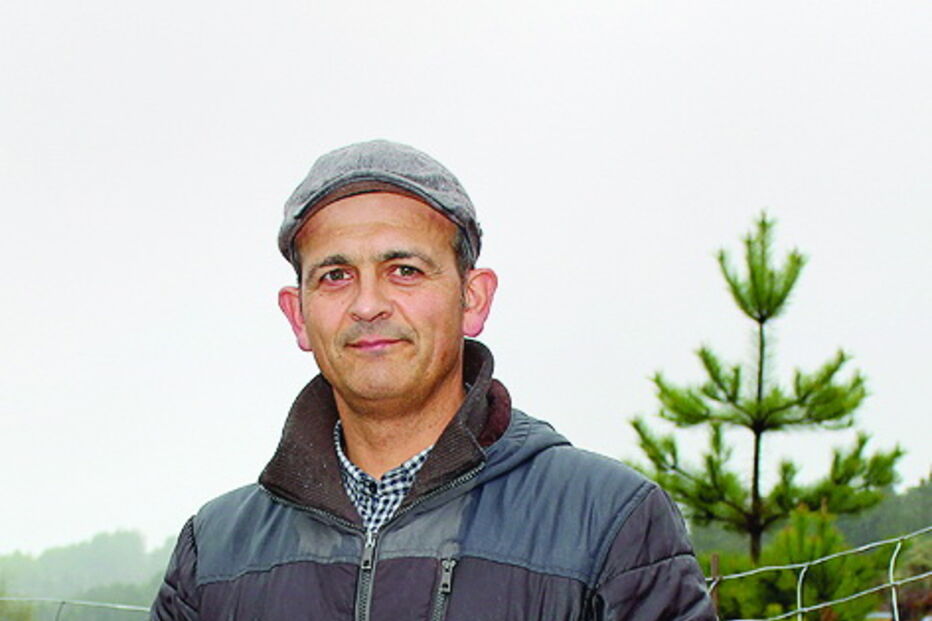 Luís Correia detetou pegadas junto das suas colmeias 