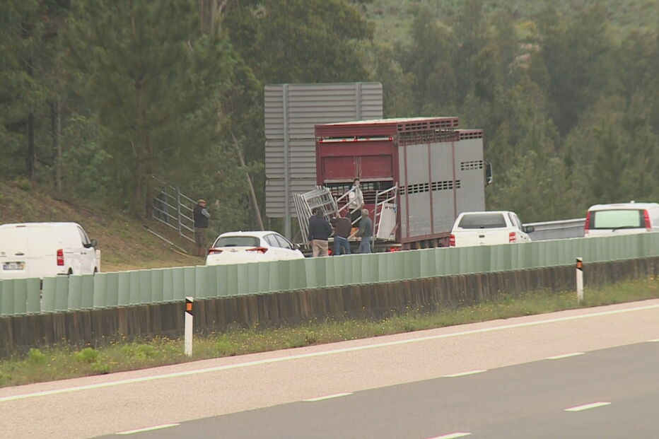 Despiste de camião corta A17 na Figueira da Foz no sentido Sul - Norte