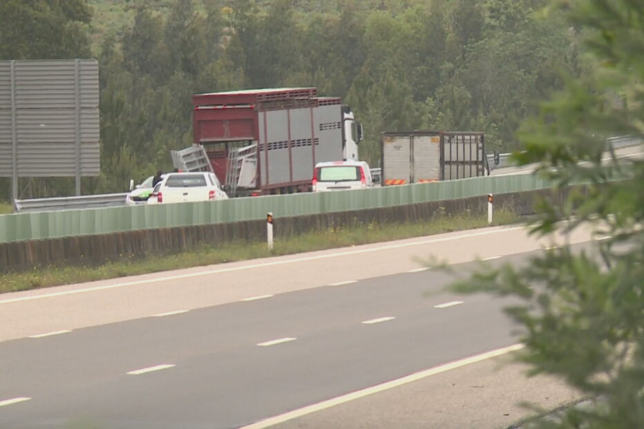 Despiste de camião corta A17 na Figueira da Foz no sentido Sul - Norte