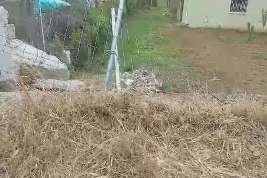 Homem de 76 anos morre em acidente agrícola em Bragança