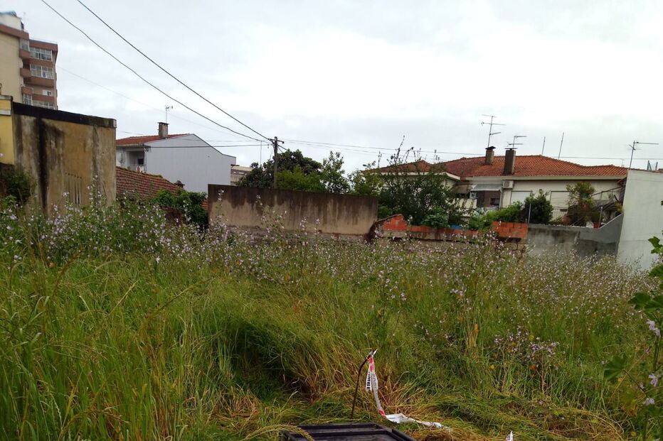 Bombeiro cai em poço após alerta de incêndio e acaba a salvar cão na Trofa