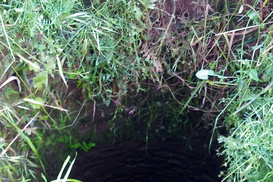 Bombeiro cai em poço após alerta de incêndio e acaba a salvar cão na Trofa