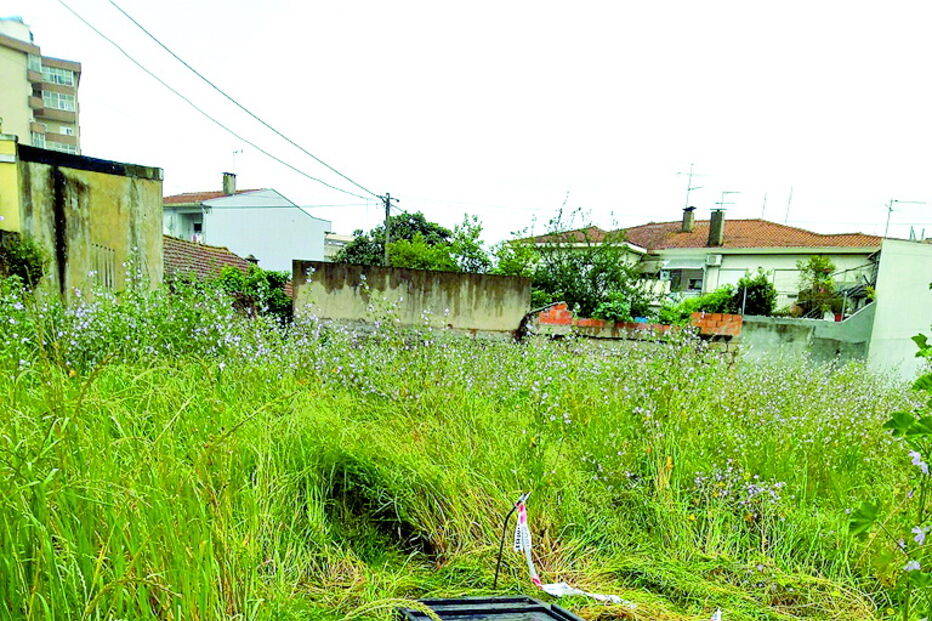 Buraco foi, entretanto, tapado com uma cobertura provisória