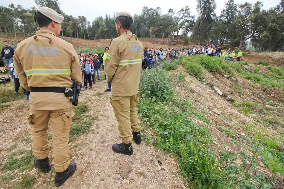 Esta sexta-feira cerca de 300 crianças de várias escolas da região plantaram árvores junto à vila de Monchique 