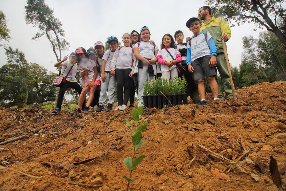 Esta sexta-feira cerca de 300 crianças de várias escolas da região plantaram árvores junto à vila de Monchique 