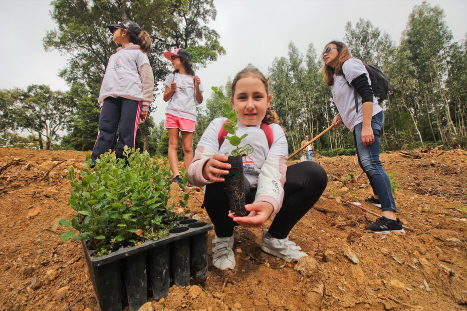 Esta sexta-feira cerca de 300 crianças de várias escolas da região plantaram árvores junto à vila de Monchique 