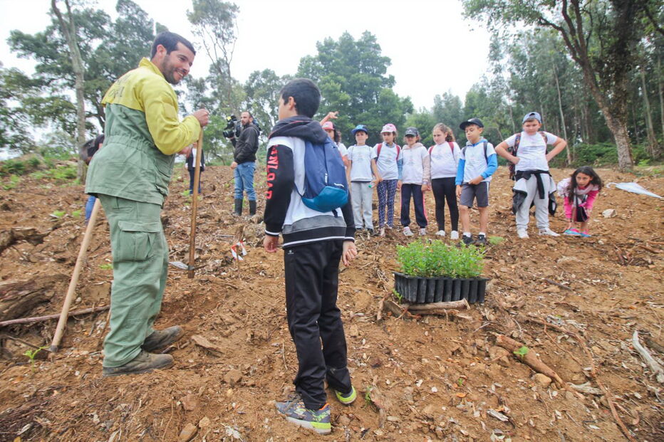 Esta sexta-feira cerca de 300 crianças de várias escolas da região plantaram árvores junto à vila de Monchique 