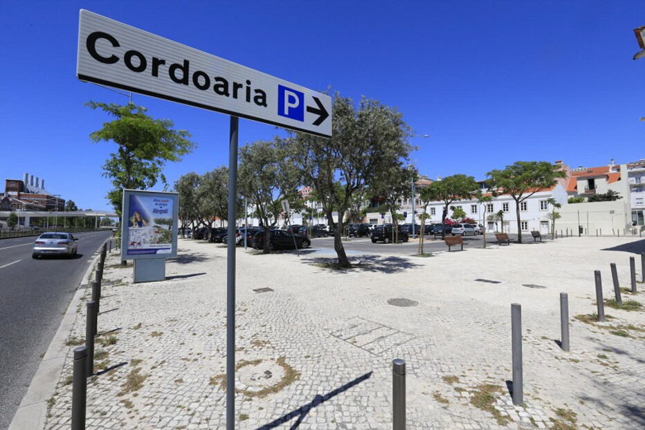 2019-05-12_13_40_56 M2-18358337.JPG