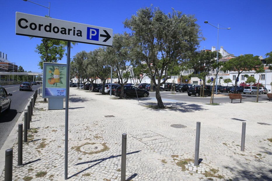 2019-05-12_13_40_57 M2-18358226.JPG