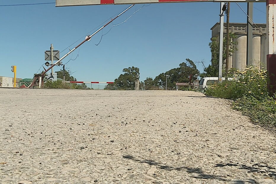 Mulher morre atropelada por comboio. Linha do Norte cortada junto a Alhandra