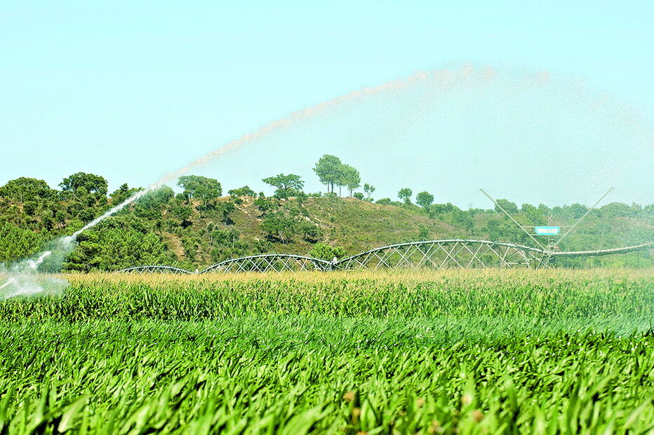 Papel dos pequenos agricultores é reconhecido pela União Europeia 