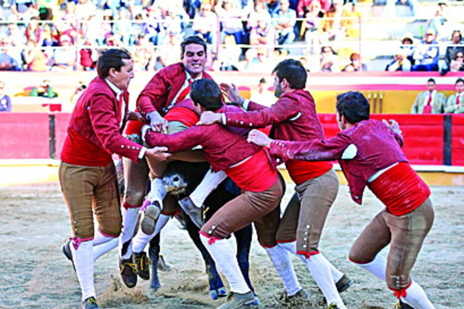 Forcados prometem dar espetáculo na arena 