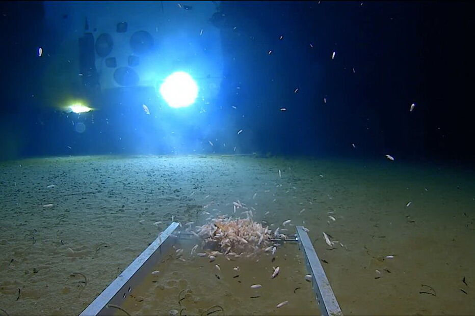 Mergulhador bate recorde de profundidade e encontra plástico no fundo do mar 