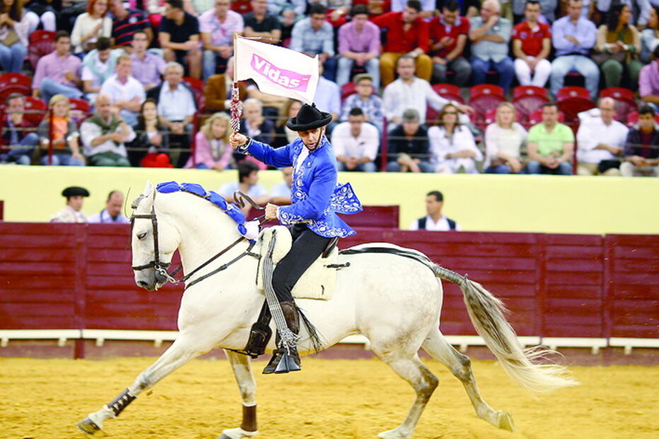 Cavaleiros mostram-se ansiosos. Touros são da ganadaria de Romão Tenório 