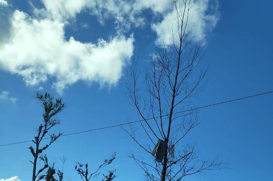 Sílvia Bentes partiu para Moçambique sem pensar duas vezes. Em casa deixou os filhos, um turismo rural e uma farmácia por gerir