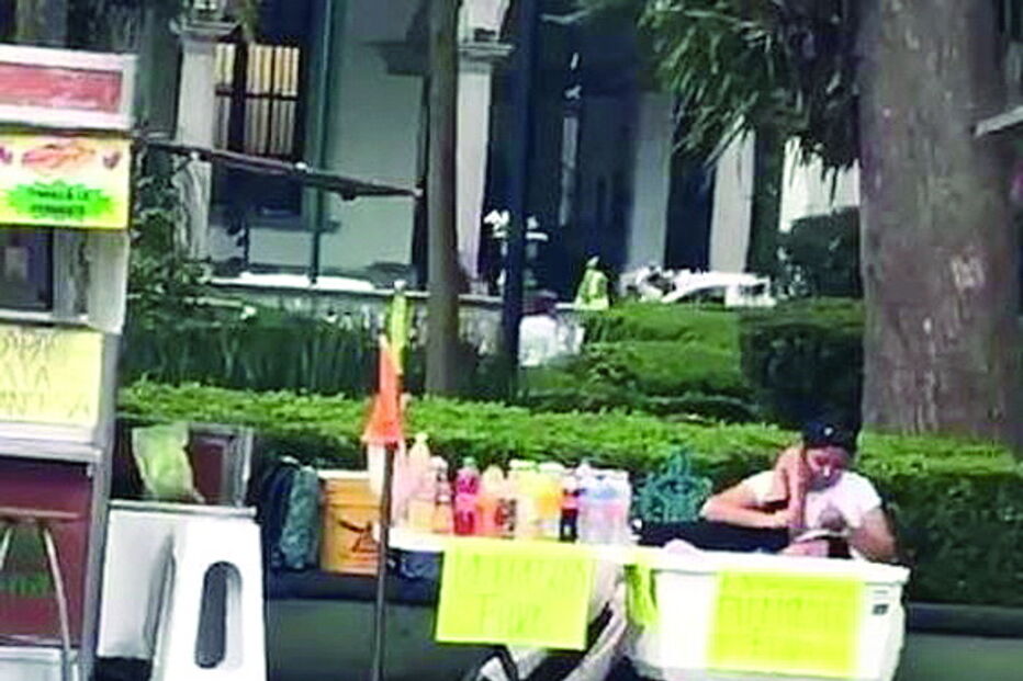 Cão desastrado anda de skate na praça central do México