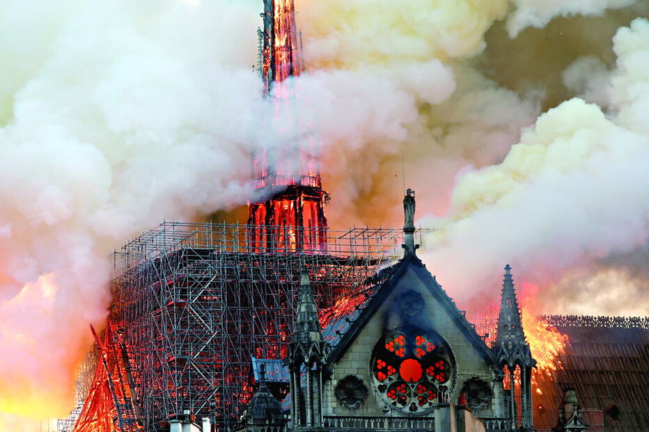 Floresta subaquática no Gana pode ajudar a reerguer Notre-Dame