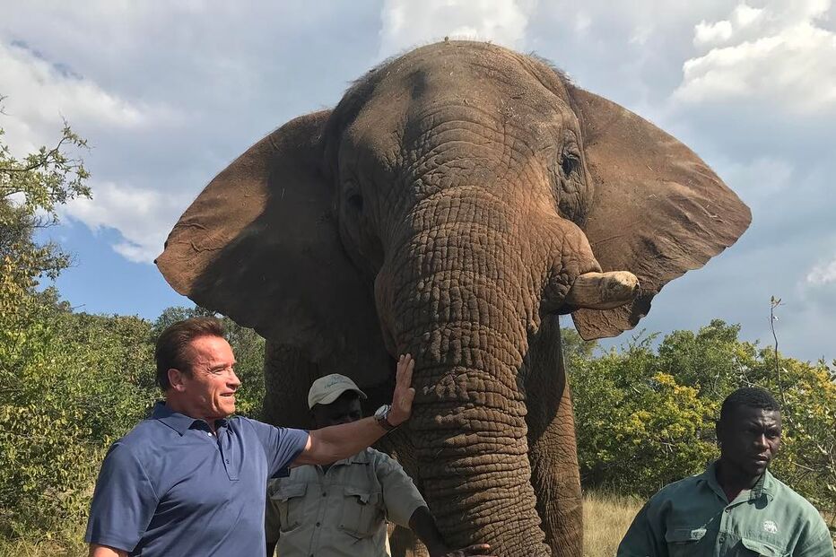 Arnold Schwarzenegger