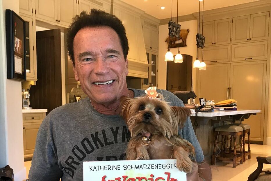 Arnold Schwarzenegger