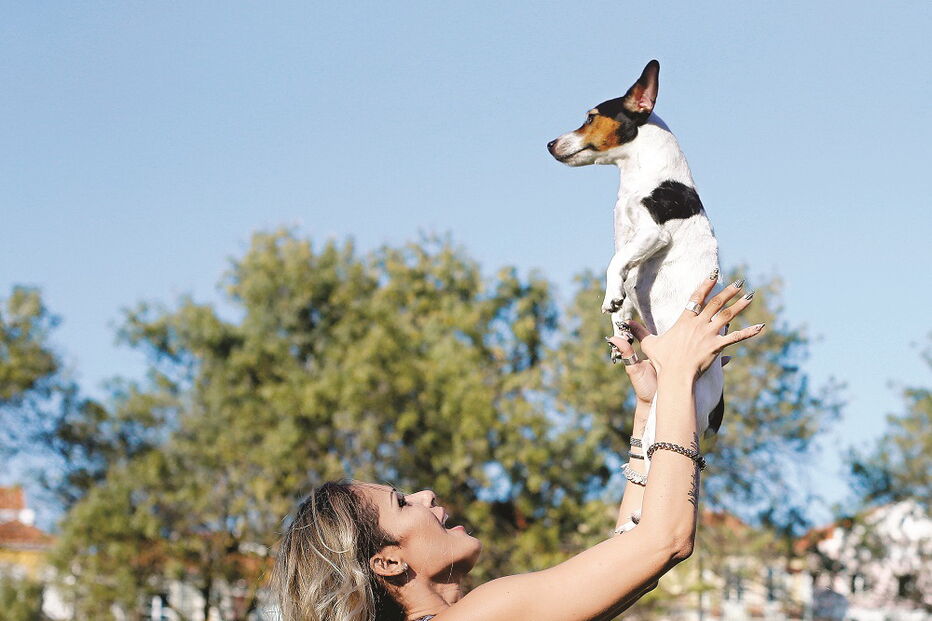 Como comunicam os animais de estimação