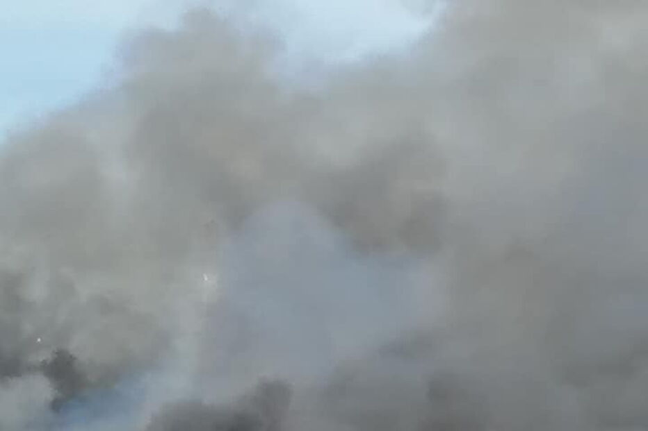 Incêndio consome zona de mato em Sacavém