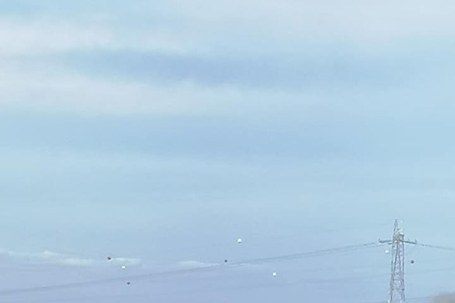 Incêndio consome zona de mato em Sacavém