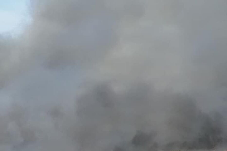 Incêndio consome zona de mato em Sacavém