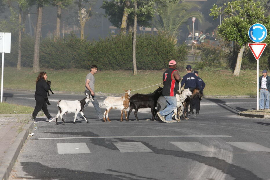 Incêndio destrói dez barracas em Sacavém. Explosões ouvidas no local