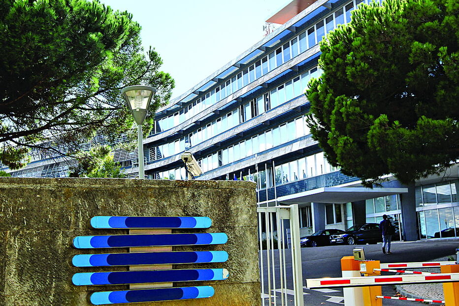 Baratas regressaram à RTP, mas a administração presidida por Gonçalo Reis foi rápida a combater a praga 