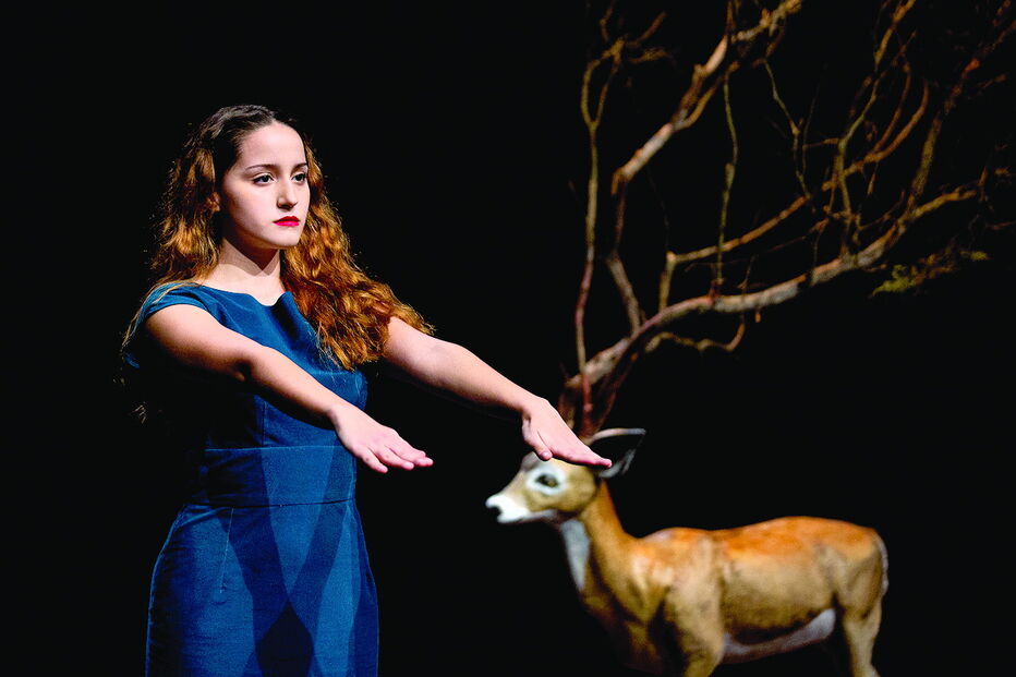 ‘Lugar de Contacto’ é o título do espetáculo que Joana Providência vai apresentar no âmbito do Serralves em Festa