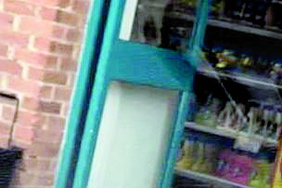 Gaivota atrevida apanhada a ‘assaltar’ mercearia  