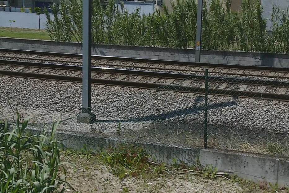 Estudante encontrado alcoolizado e em pijama na linha de comboio em Aveiro