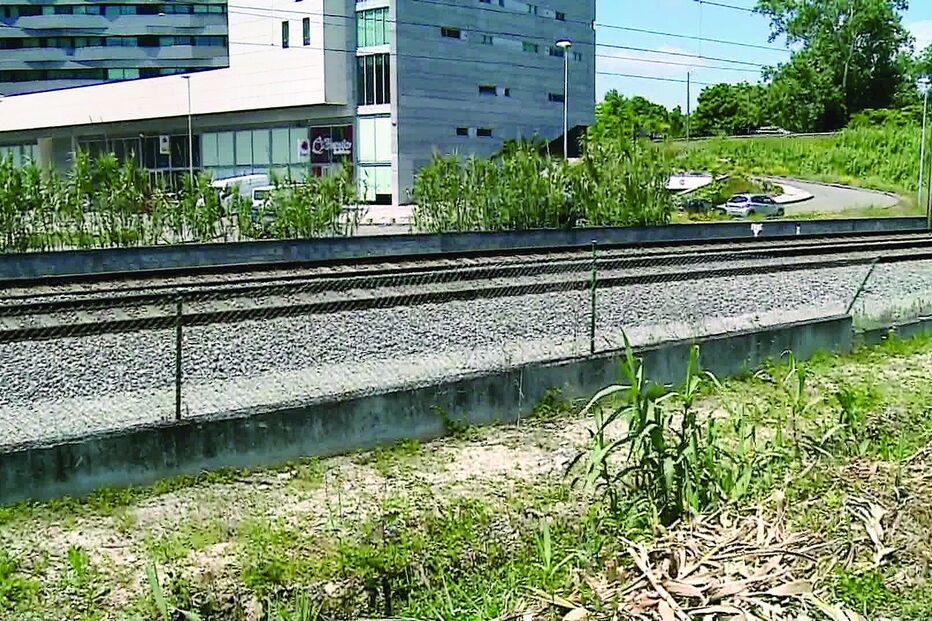 Local da Linha do Norte onde o estudante universitário, de 21 anos, foi encontrado 