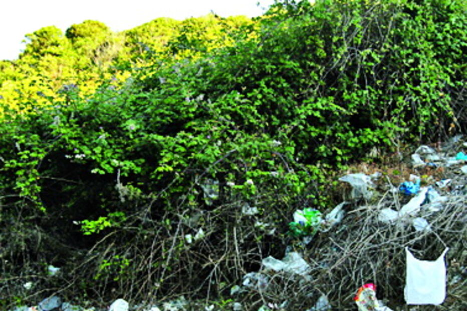 Terreno ao lado de habitações 