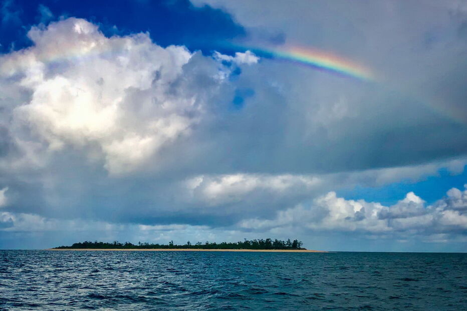 Pesca comercial ameaça 