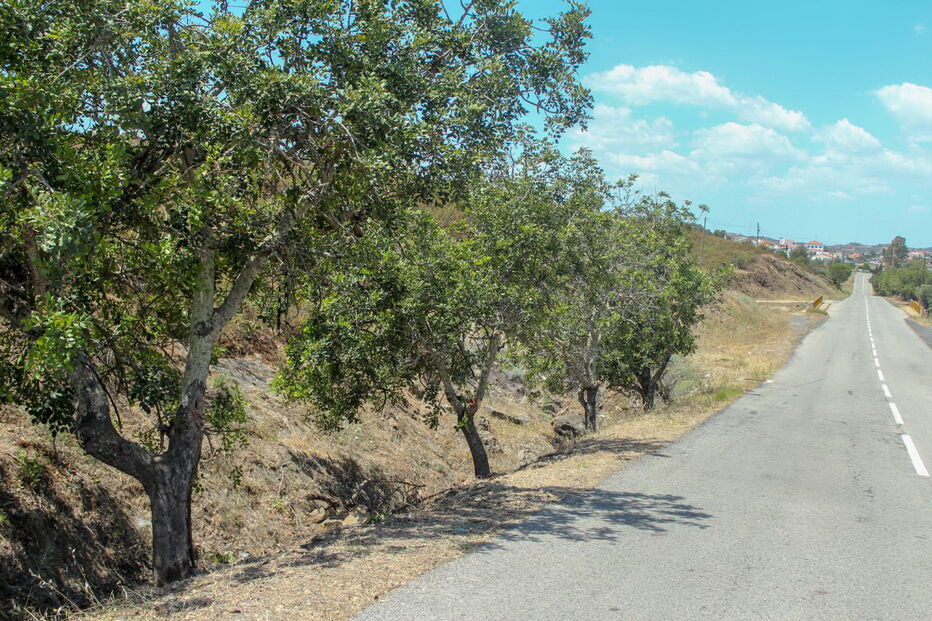 Homem morre em despiste em Castro Marim