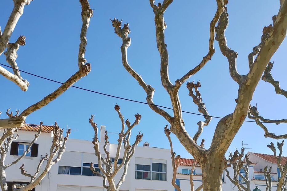 Cristina Ferreira, Ericeira