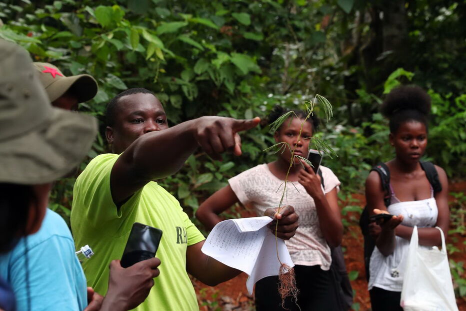 Alunos da ilha do Príncipe aprendem sobre ciência em caminhadas na floresta