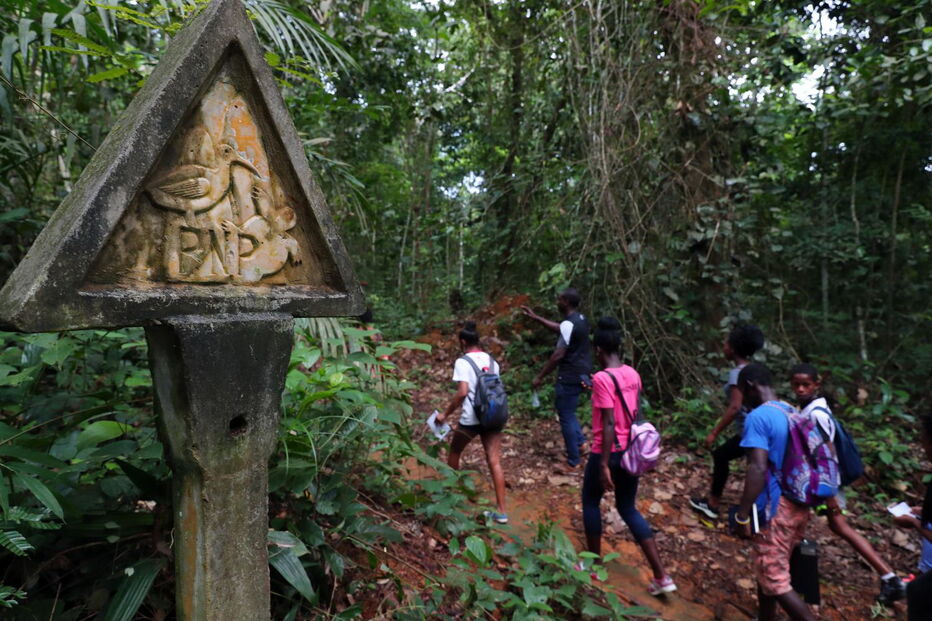  Alunos da ilha do Príncipe aprendem sobre ciência em caminhadas na floresta
