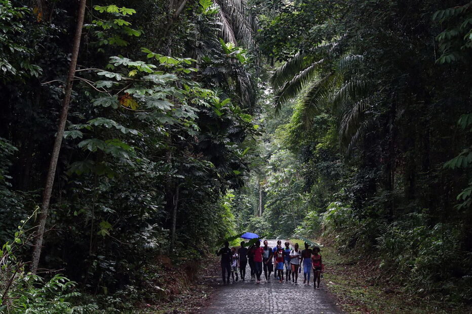  Alunos da ilha do Príncipe aprendem sobre ciência em caminhadas na floresta