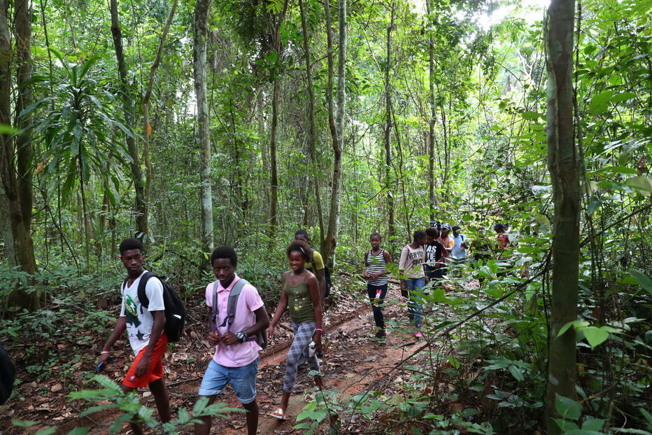  Alunos da ilha do Príncipe aprendem sobre ciência em caminhadas na floresta