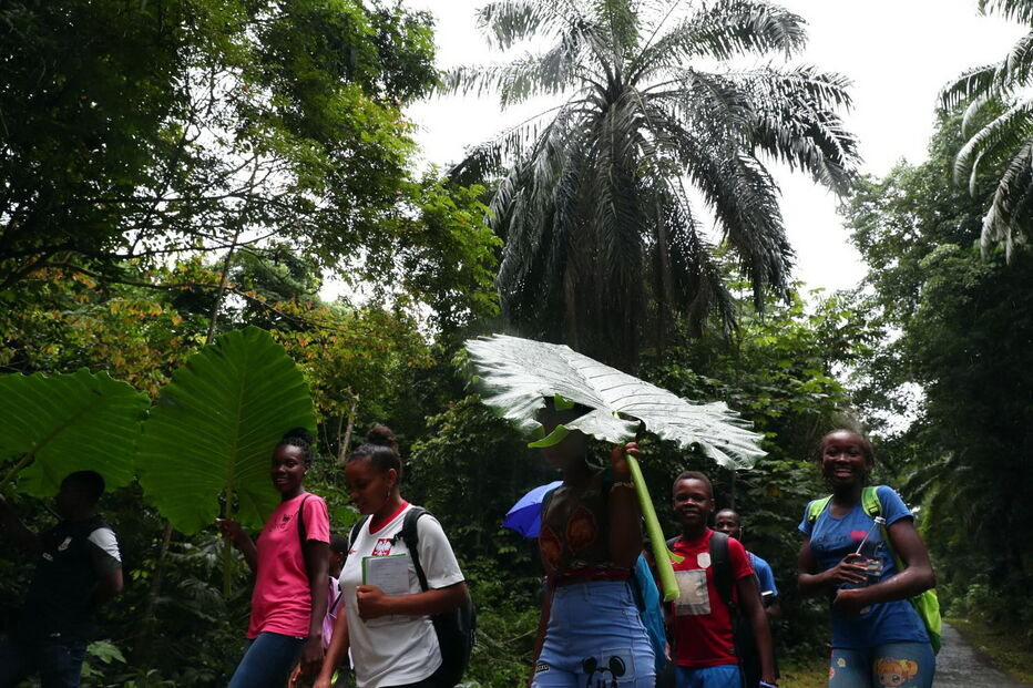  Alunos da ilha do Príncipe aprendem sobre ciência em caminhadas na floresta