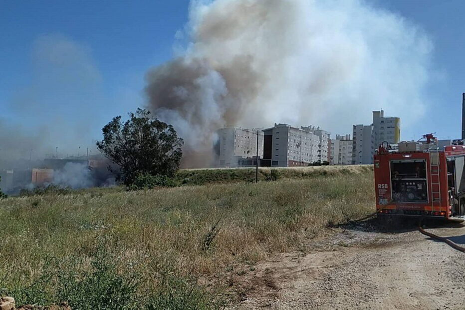 Incêndio consome zona de mato nas Olaias, em Lisboa